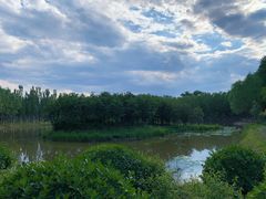 -东郊湿地公园
