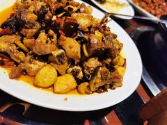 -志晖园圆子鸡·辣子鸡(阳光店)