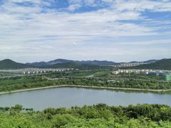 -羊山湖公园