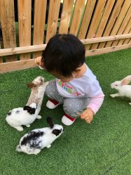 -萌宠亲子动物乐园(槐房万达店)