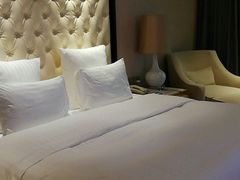 -永恒朗悦酒店(广西大学地铁站大学东路万达广场店)