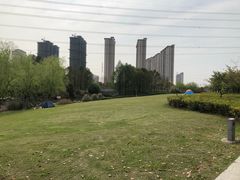 -九里河湿地公园