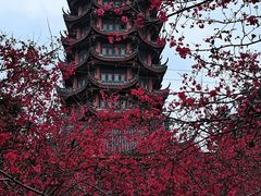 -塔子山公园