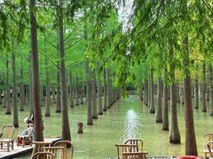 -泗洪洪泽湖湿地景区