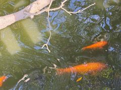 -福屿鲜捞小吃·捞化(福屿总店)