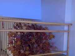 -何师傅美蛙鱼头(汉街店)
