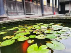 -宝光寺
