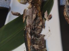 -花狸日本料理(柏庐广场店)