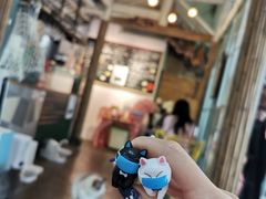 -喵屿·大理花园猫咖