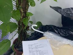 -新航道雅思托福·留学·考研培训(人民广场校区)