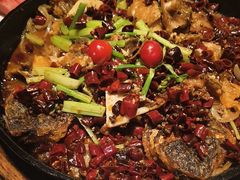 -老板恋上鱼(恒隆广场店)