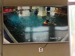 -小小王国亲子游泳(富民中心)