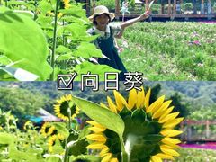 -丹樱生态园