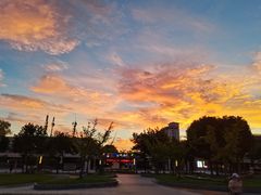-东南大学(九龙湖校区)