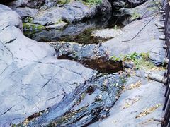 -云岫谷游猎自然风景区