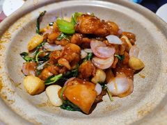 台式塔香三杯鸡-邓丽君音乐主题餐厅