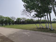 -汉长安城未央宫国家考古遗址公园