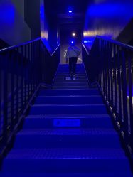-飞览天下沉浸式飞行体验(北京旗舰店)