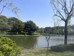 -上海鲜花港