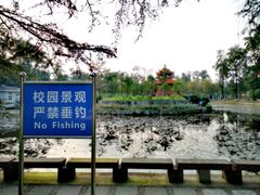 -四川大学(望江校区)