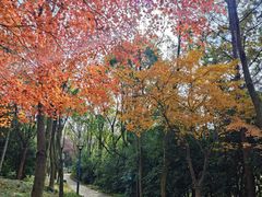 -长广溪湿地公园