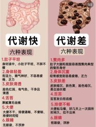 -Fundi张玉珊修身堂·indiba·BTL科技瘦身