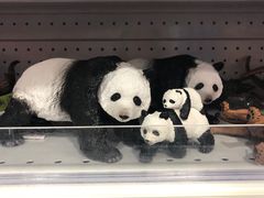 -TOYSRUS玩具反斗城(大连恒隆广场店)