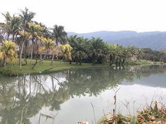-瑞穗牧场