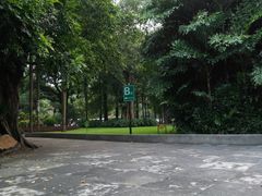 -晓港公园