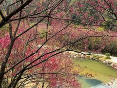 -福清灵石山国家森林公园