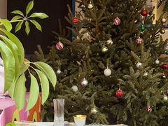 -argangKaffe(宝庆路店)