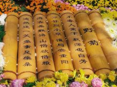 -汇龙潭