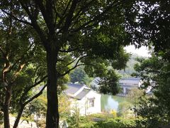 -谷丰健康凤贤居酒家