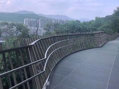-福道