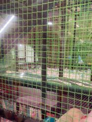 -MELAND CLUB亲子乐园·派对·餐厅(北京芳圆里ID MALL店)