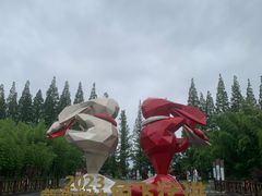 -黄海国家森林公园