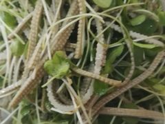 -粥公粥婆精品家常菜(青龙桥店)