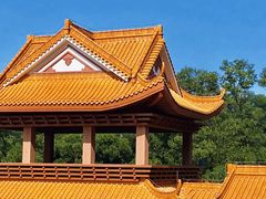 -深圳仙湖植物园