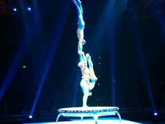 -珠海横琴长隆《卡卡虎奇遇记》