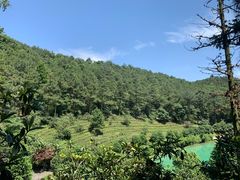 -九龙潭景区