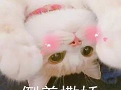 -必胜客(珠海路店)