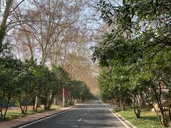 -河南省黄河迎宾馆