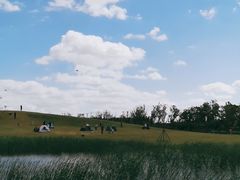 -春花秋色城市公园