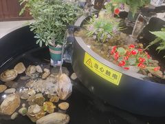 -九寨沟石锅鱼(沣峪口二十年店)