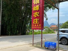 -银峰农庄·特色烧鸡·鲜无花果浸鸡
