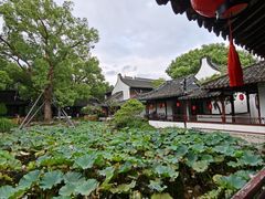 -上海醉白池公园