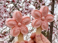 -桃花堤公园
