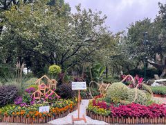 -南山植物园