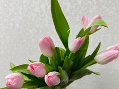 -循礼门鲜花花市(武汉循礼门店)