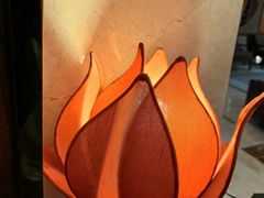 -汤泉良子.足疗按摩.SPA(中关村店)